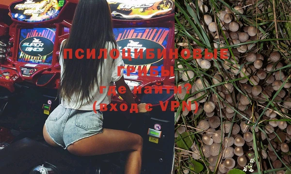 тгк Беломорск