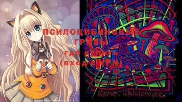 MESCALINE Гусь-Хрустальный